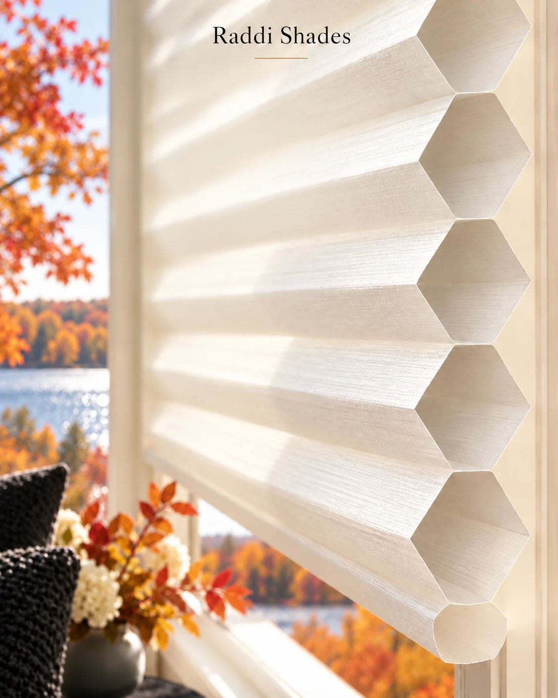 Honeycomb Shades photo 4
